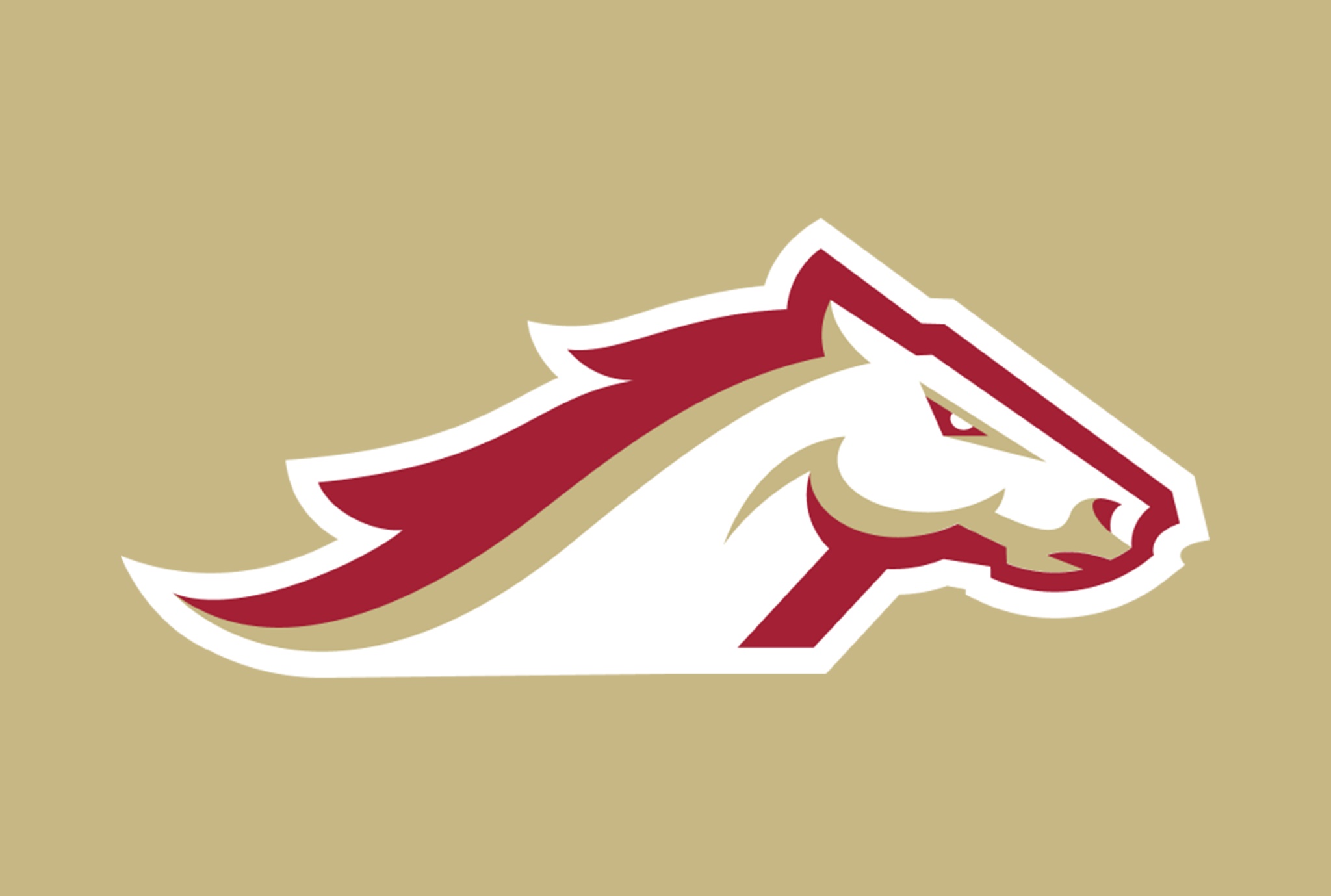 Birmingham Stallions resign tight end Jordan Thomas BGMSportsTrax