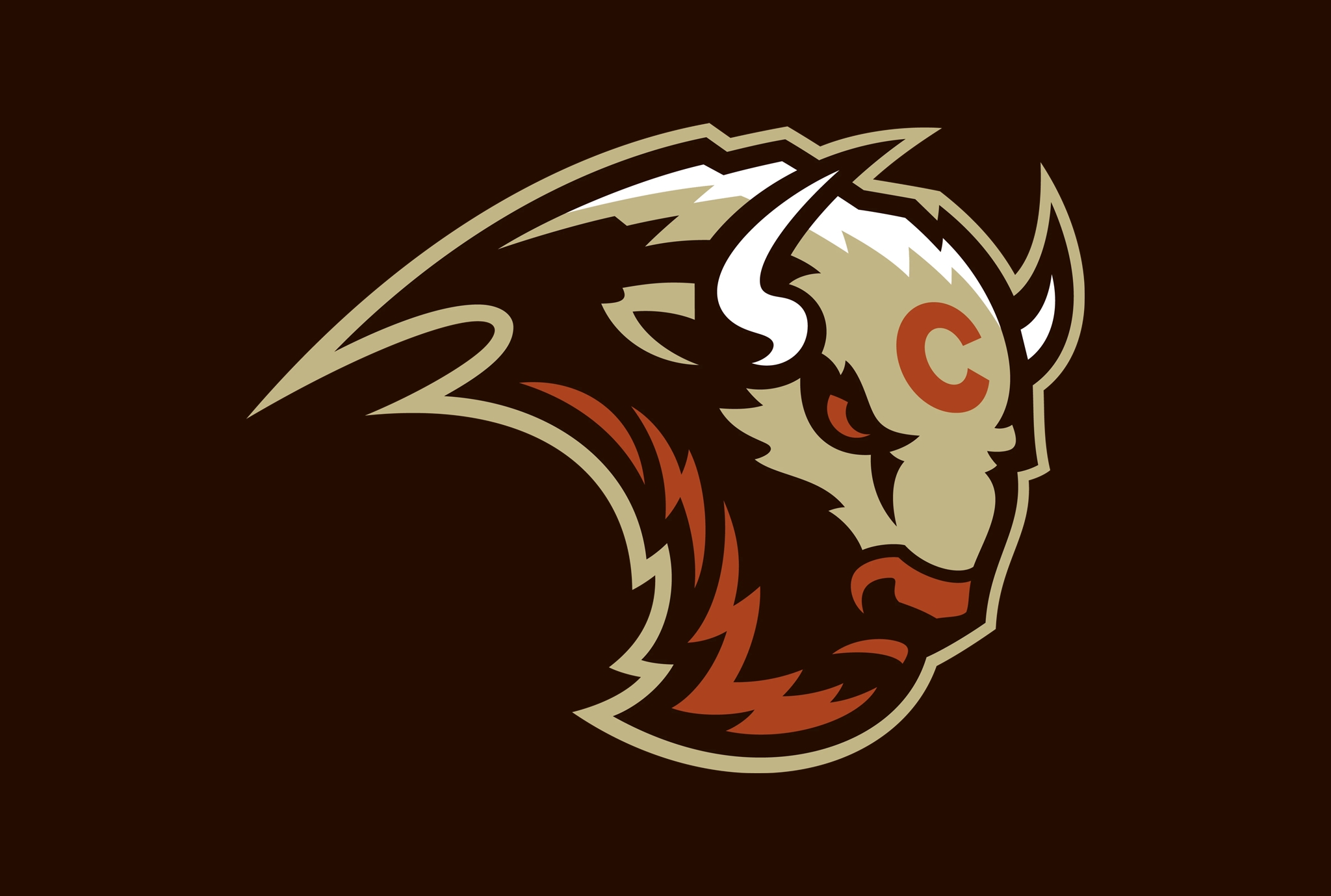 United Football League introduces the Colorado Stampede – BGMSportsTrax